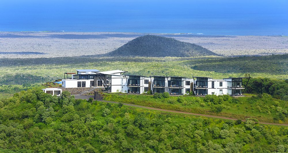 pikaia lodge surrounded by vegetation