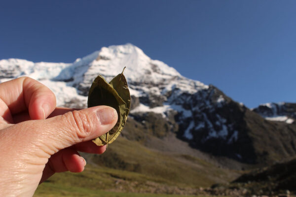 trekking 2