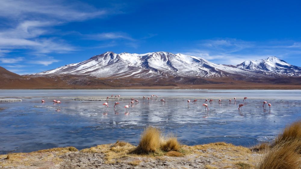 llanganuco