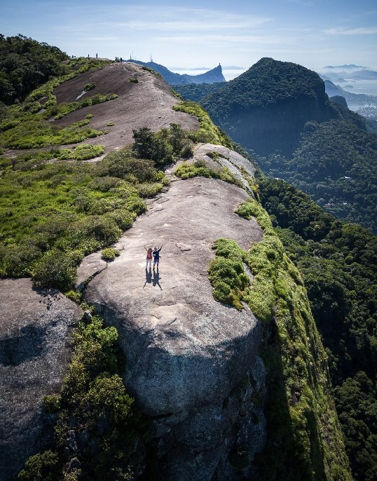 Brazil Newsletter 61