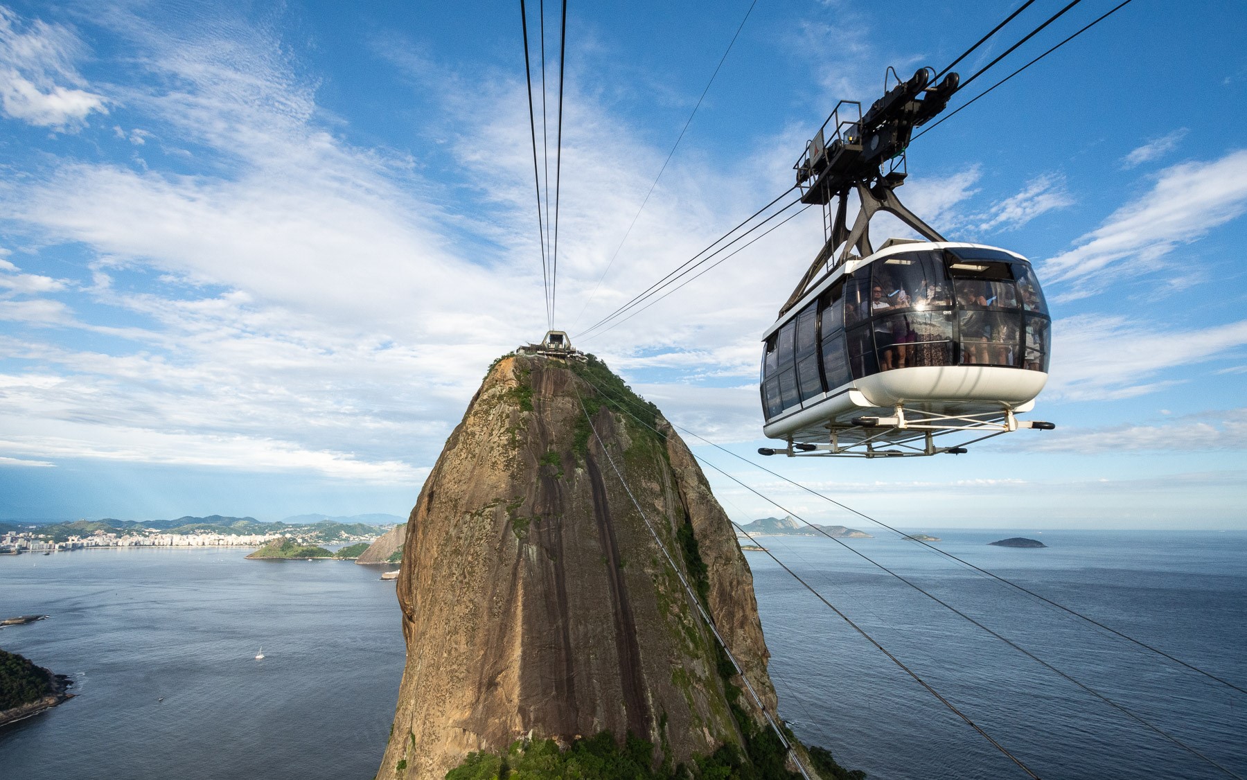 new brazil