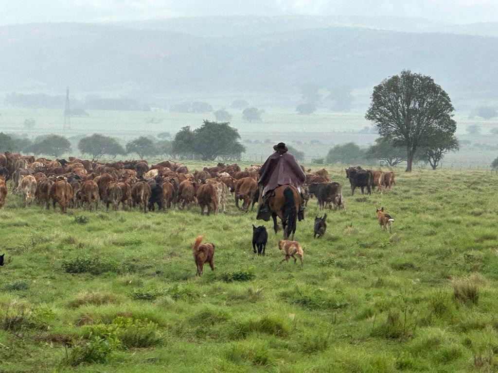 Estancia Pampa Grande