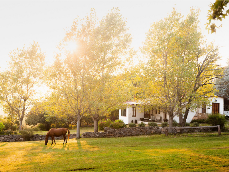 Estancia Los Potreros