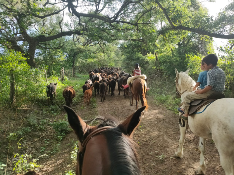 Estancia El Bordo de las Lanzas