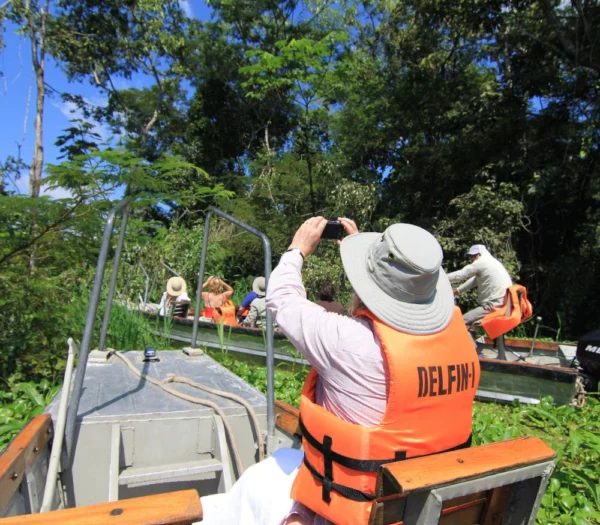 How To Cruise The Amazon: Unforgettable Luxury For Every Kind Of Traveler 16 22