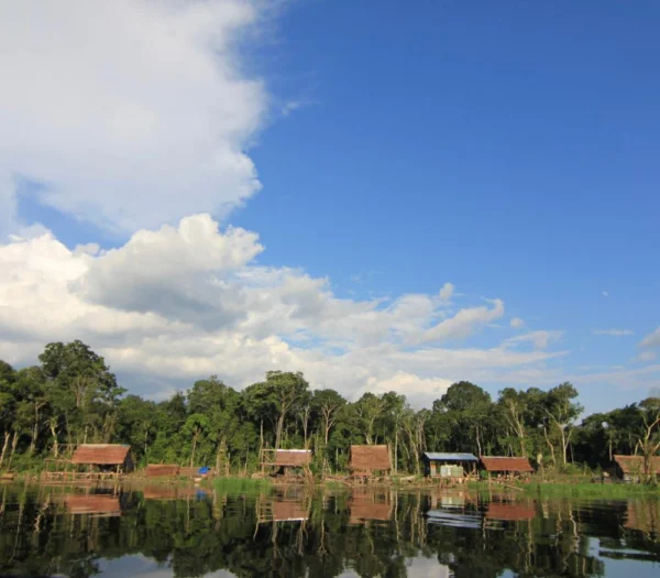 How To Cruise The Amazon: Unforgettable Luxury For Every Kind Of Traveler 2 8