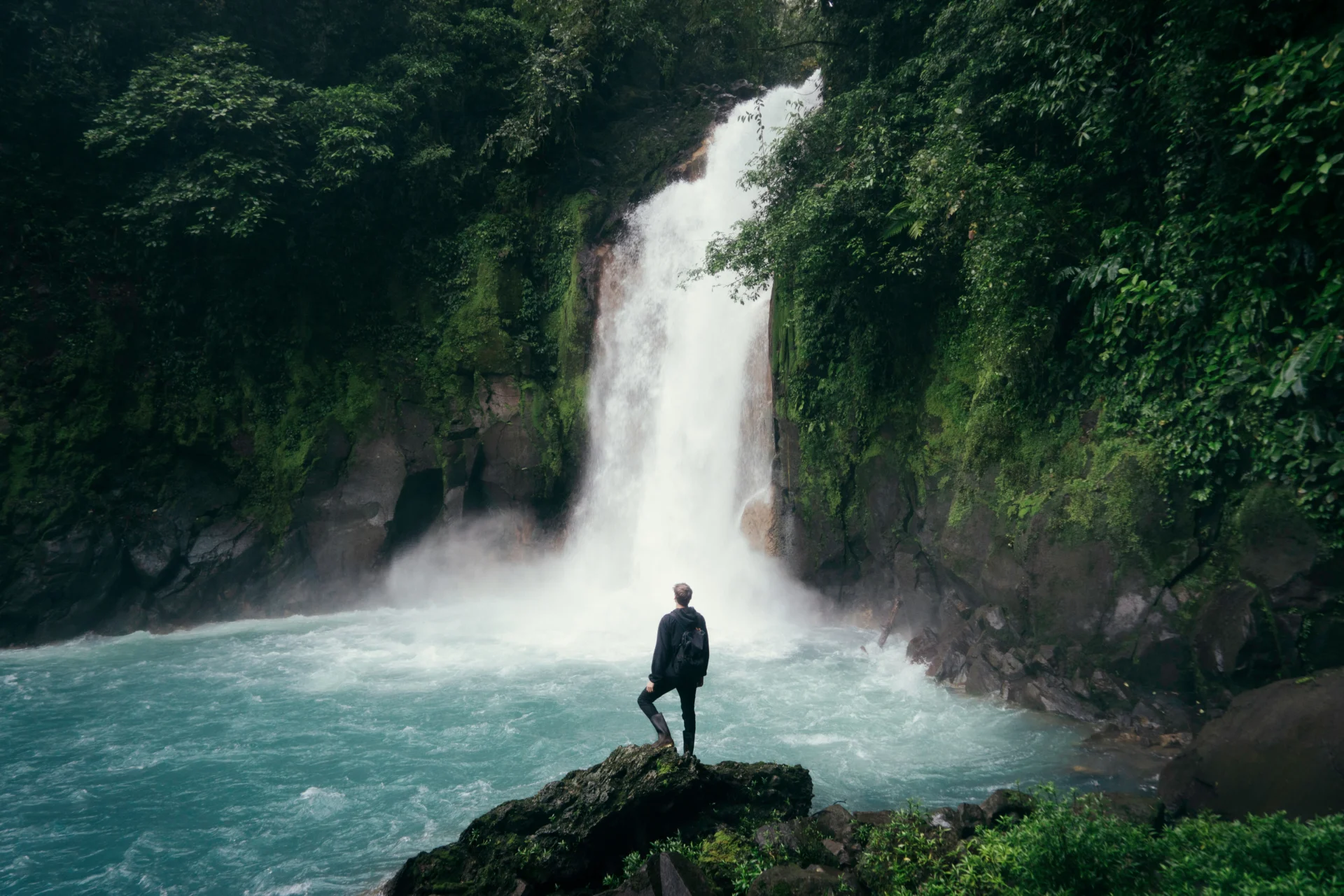 stefan stefancik 0wMmxNB6Xzc unsplash