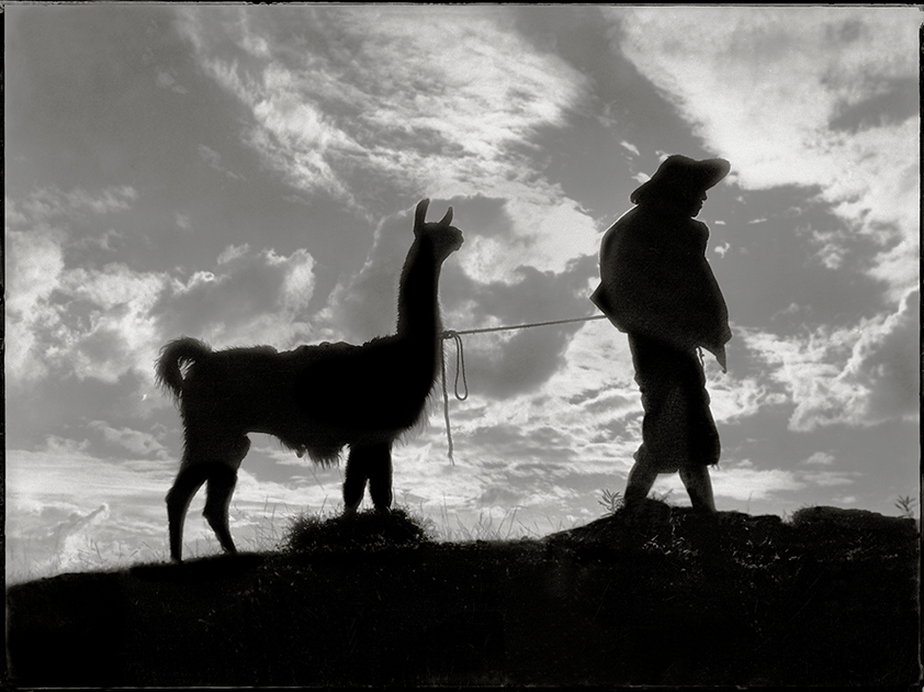 The llama and the llana herder