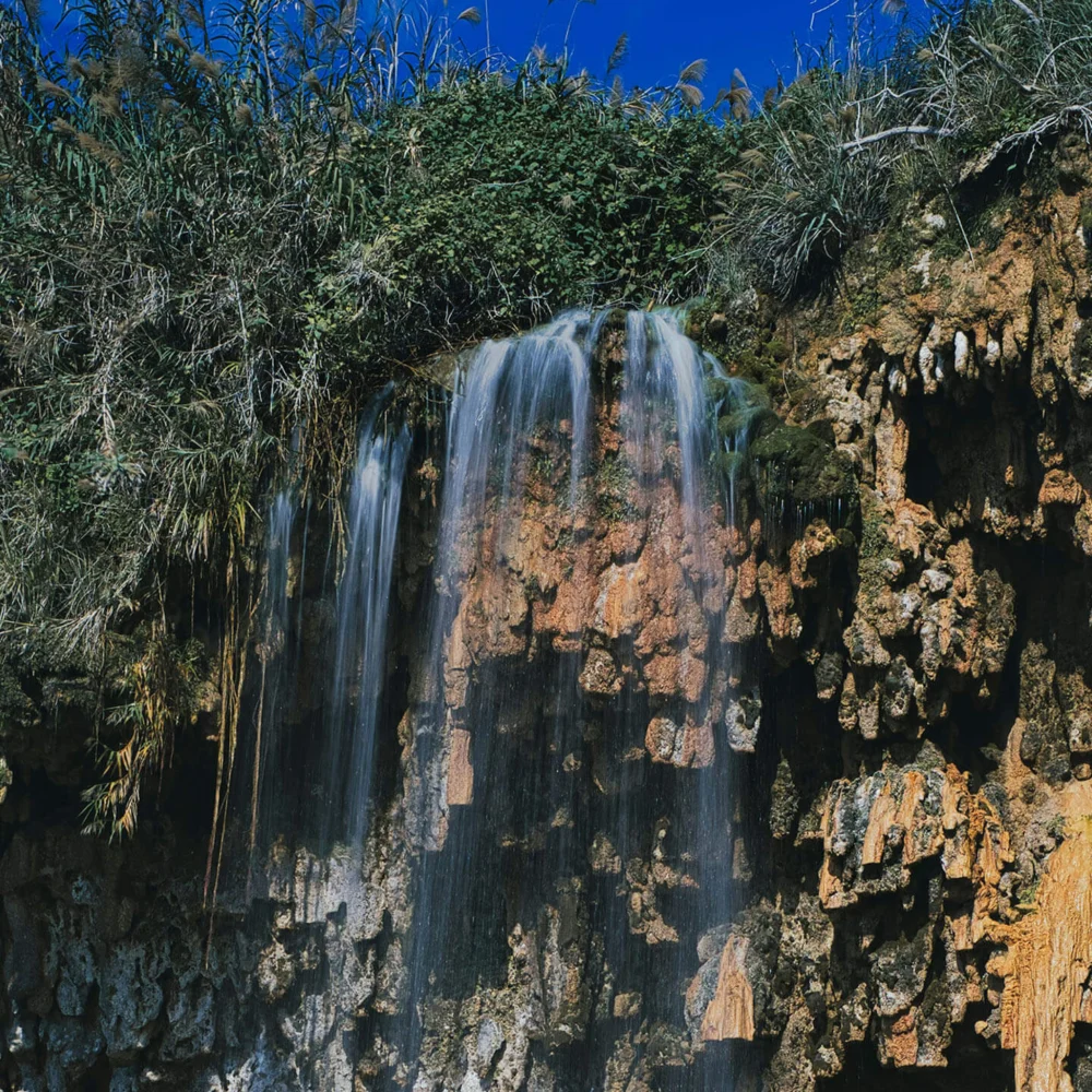 dd bahuaja sonene national park