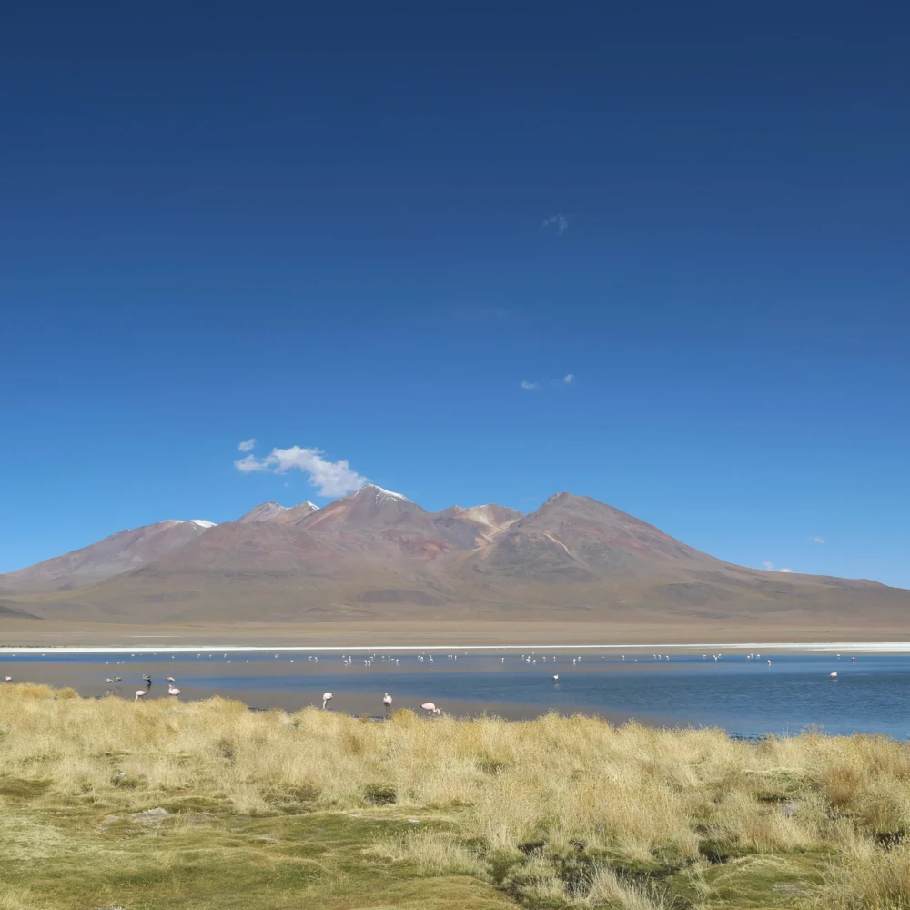 dd laguna de los condores