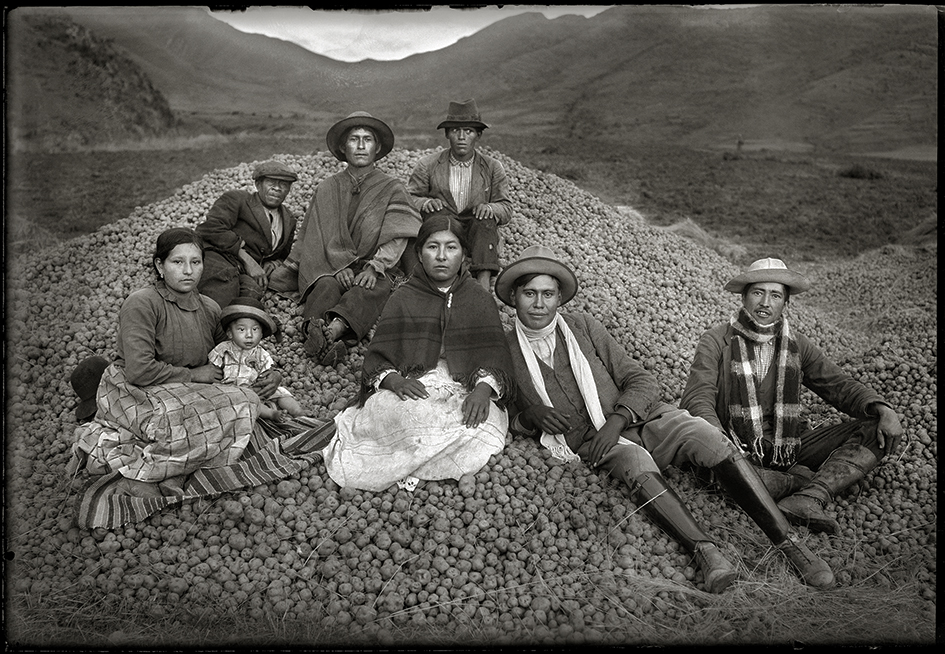 Ezequiel Arce and His Potato Harvest