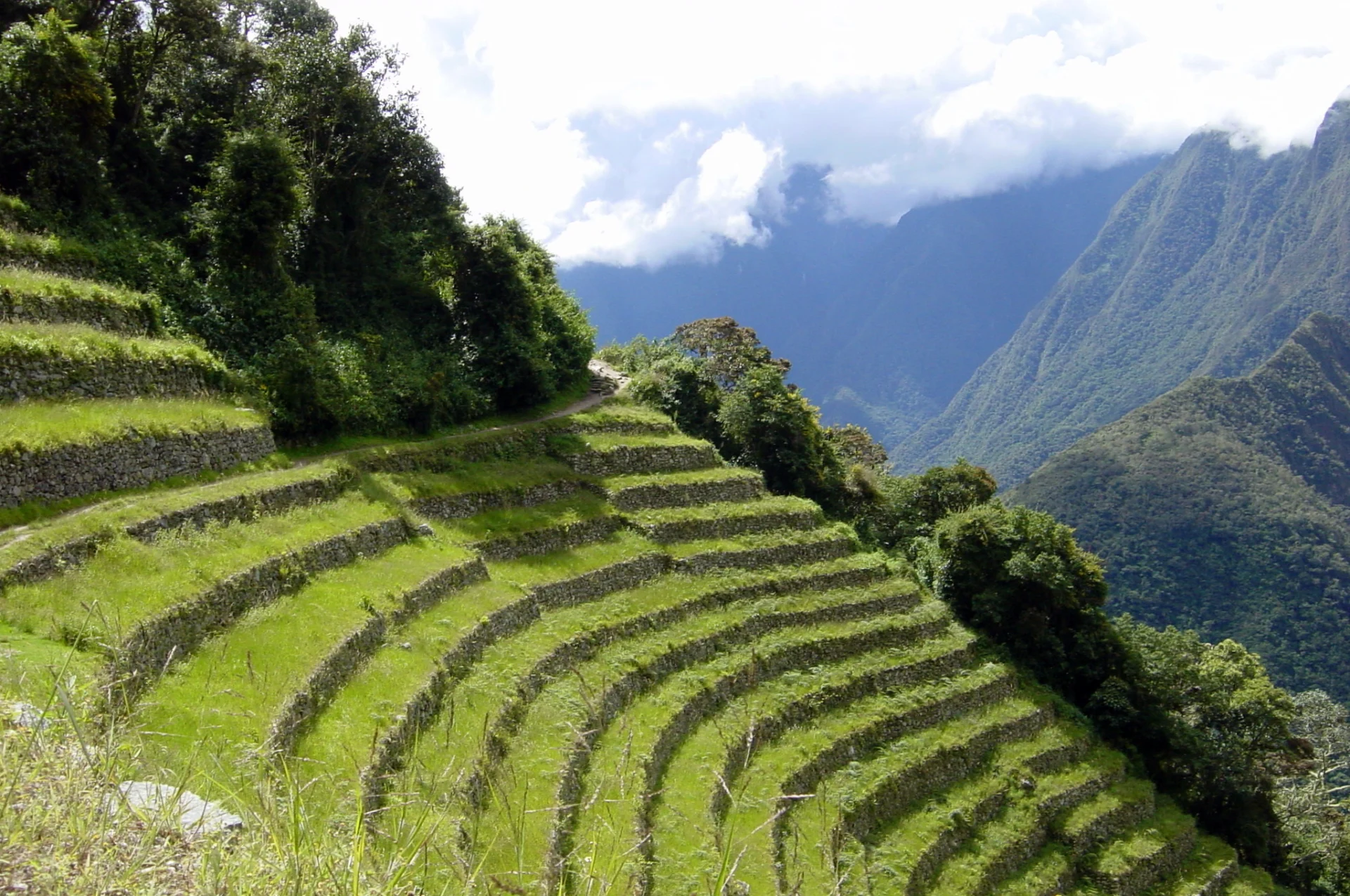 2 aracari machu picchu ruins1