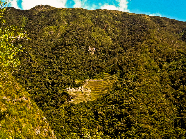 one day inca trail winay wayna